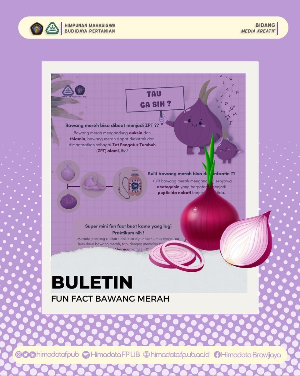 himadatafpub's tweet photo. [BULETIN INFO PERTANIAN #10]

Hallo Bravoholic!!🙌🏼

Kalian Tahu Gak Sih? Kalau ternyata Bawang Merah tuh ga jahat loh🤔, ada banyak kebaikan yang dimiliki bawang merah. Biar tahu apa aja manfaat yang dimiliki bawang merah, ayo cek postingan di atas yaa!! https://t.co/GLHjG30Wiv