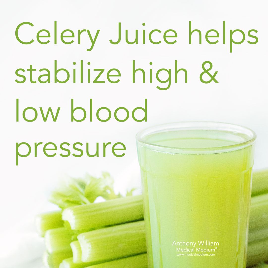 144Health's tweet image. #Celery Juice helps stabilize high &amp;amp; low blood pressure