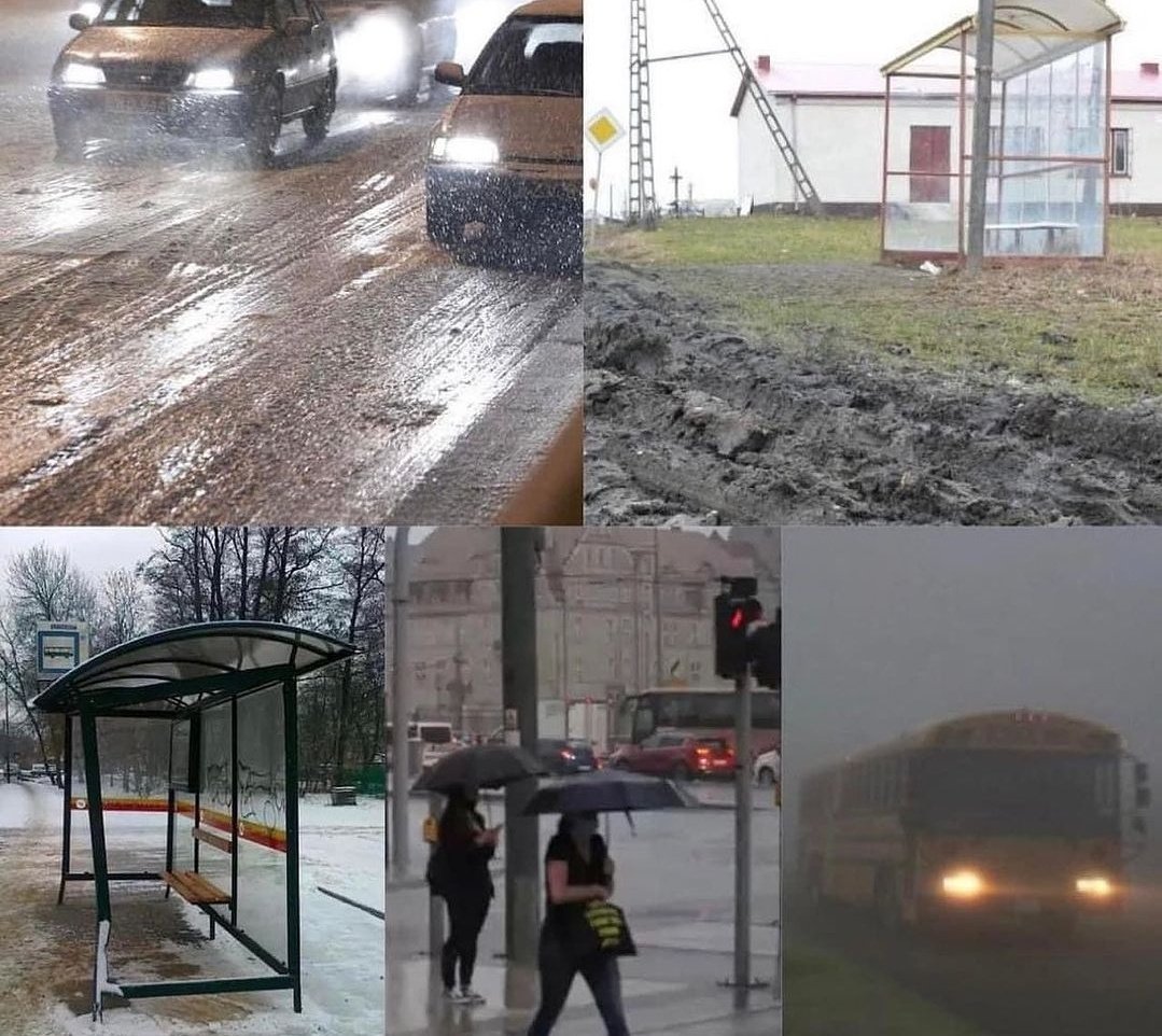 RoyalNavvy's tweet photo. Jesień w Polsce:

Oczekiwania    Vs      Rzeczywistość https://t.co/Rd4WGPBV9P