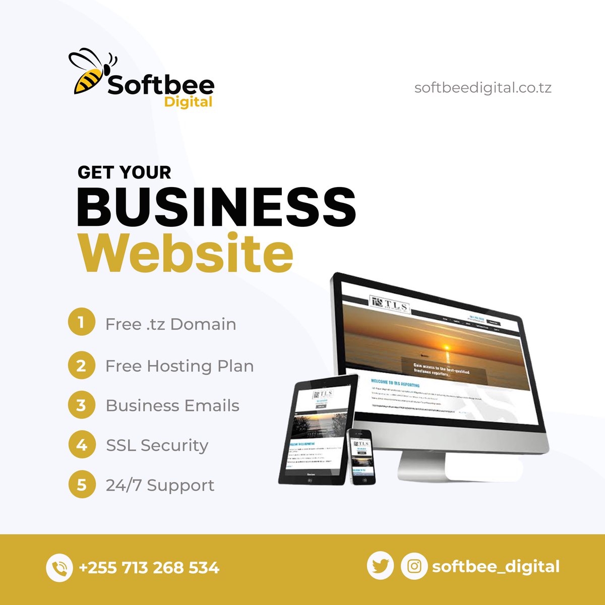 Get your Business Website with us
Call/Text: +255 713 268 534