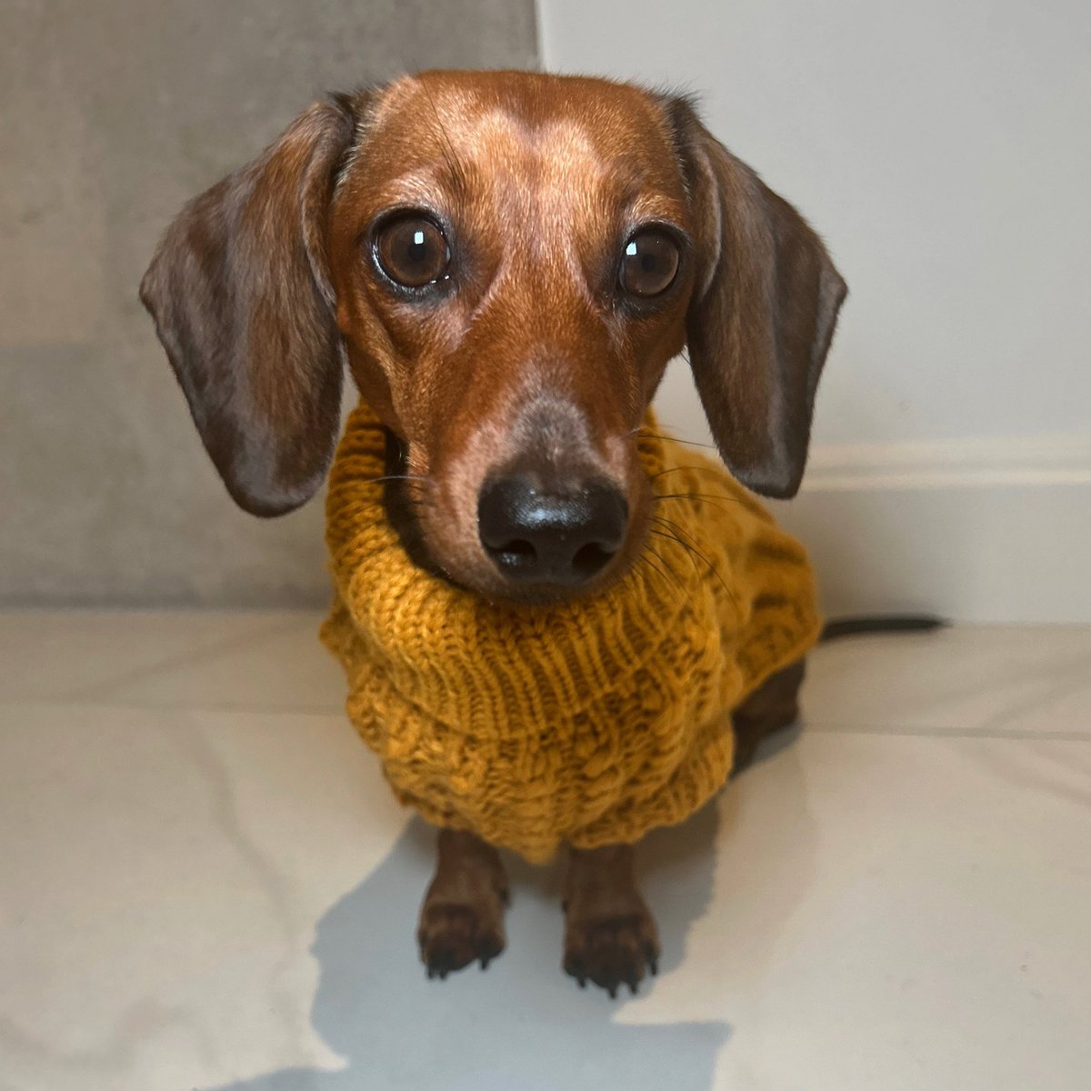 My beautiful girl 💗