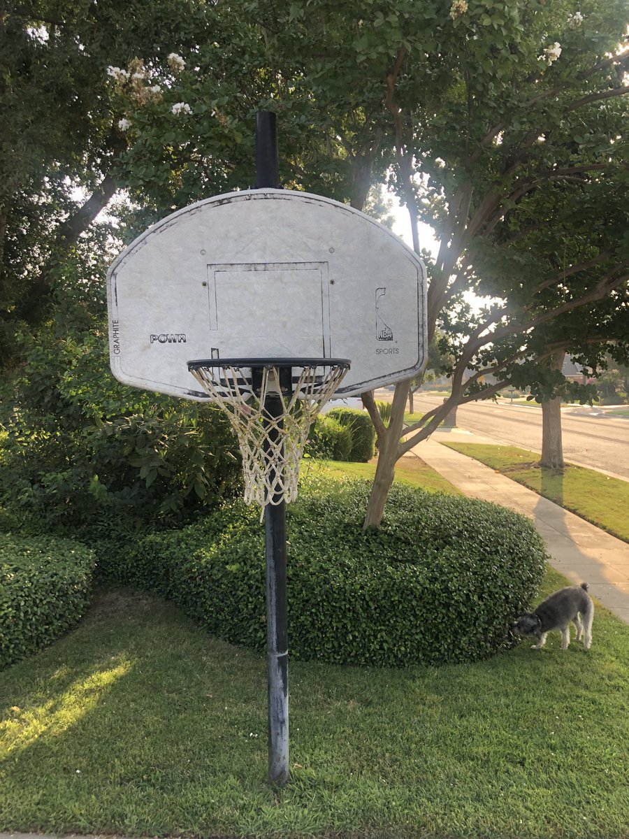 Dave Severns tweet media