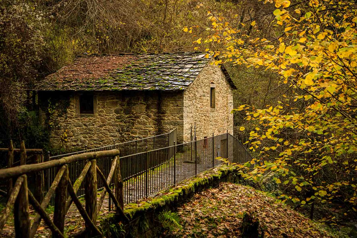 BorghiPiuBelli's tweet photo. #23settembre Benvenuto #Autunno! Una stagione che ci regalerà tante emozioni e paesaggi incredibili.
📷 due #borghi del #Casentino: il Mulino di Morino a #Raggiolo e il Santuario di #ChiusidellaVerna
#EquinoziodAutunno #Italia #Toscana #Italy #Tuscany https://t.co/7wymY0STJ4