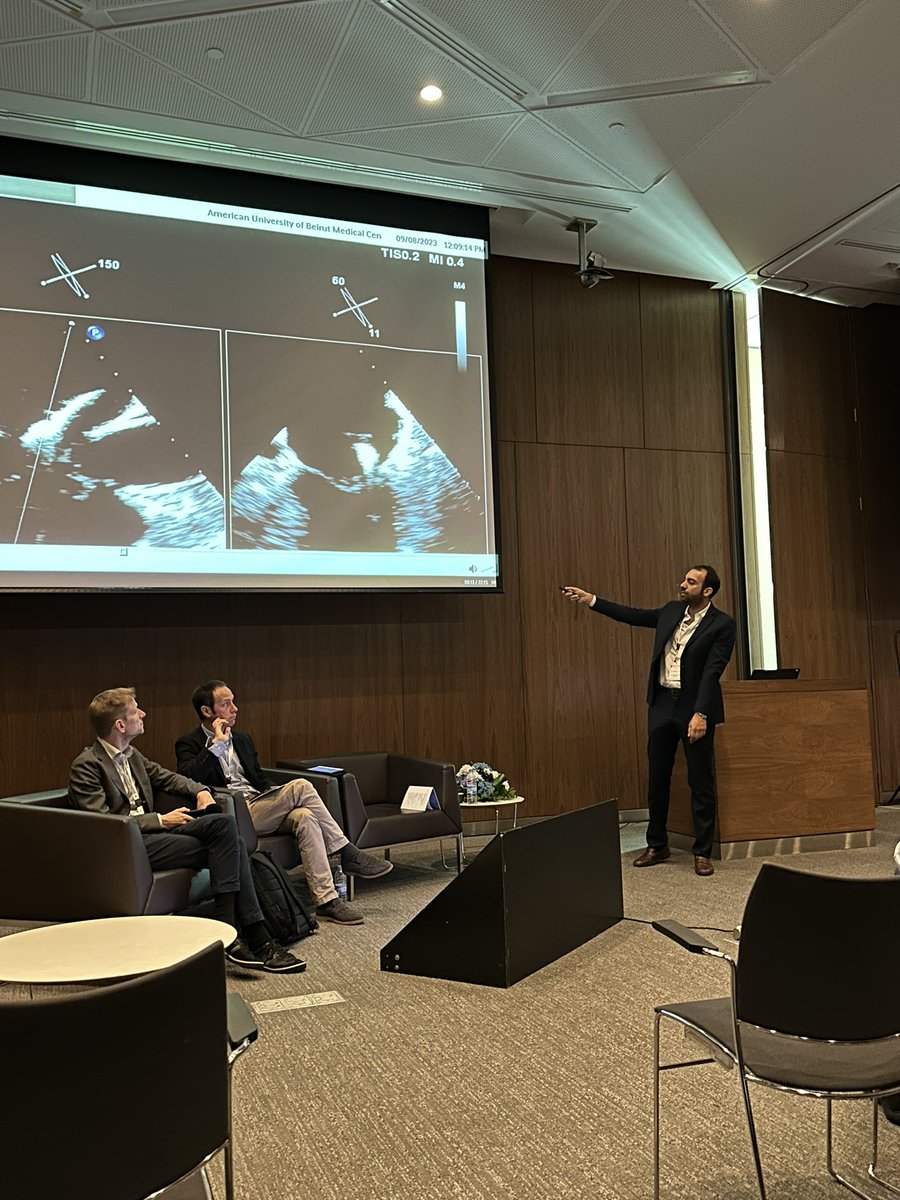 stepoco's tweet image. Delighted to be faculty @BeirutValves. Well done @fjsawaya and colleagues for organising such a wonderful comprehensive meeting. @AUBMC_Official