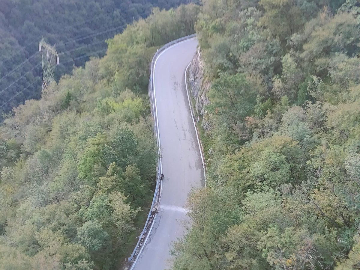 ProvinciaTrento's tweet photo. Frana sul Monte #Casale ieri verso le 17: non risulta interessata la ferrata Che Guevara, che era già chiusa al pubblico.
Frana lungo la SP 211 dei Monti #Lessini stamattina alle 6: chiusa per disgaggi e controlli fino alle ore 11.30.
@dpcpat1
👉 https://t.co/hpvHKkFJD4 https://t.co/UMqXQKyBwv