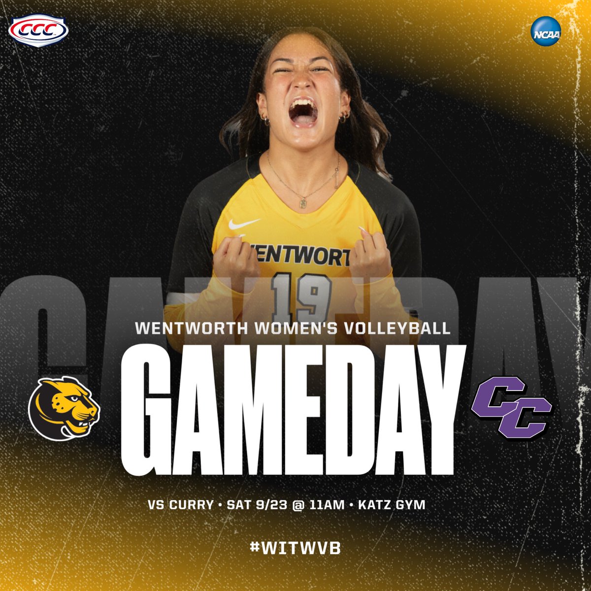 WITwvb's tweet photo. Our libero is pumped for our first conference game - are you?!? Travel with us to Curry for our first CCC match up of the season.
📍Katz Gym
⏰ 11am
🆚 Curry College
📊 https://t.co/0P9Db0ICsi
#witwvb #wentworth #womeninstem #volleyball #collegevolleyball #ncaavolleyball https://t.co/OraDrv0b5t