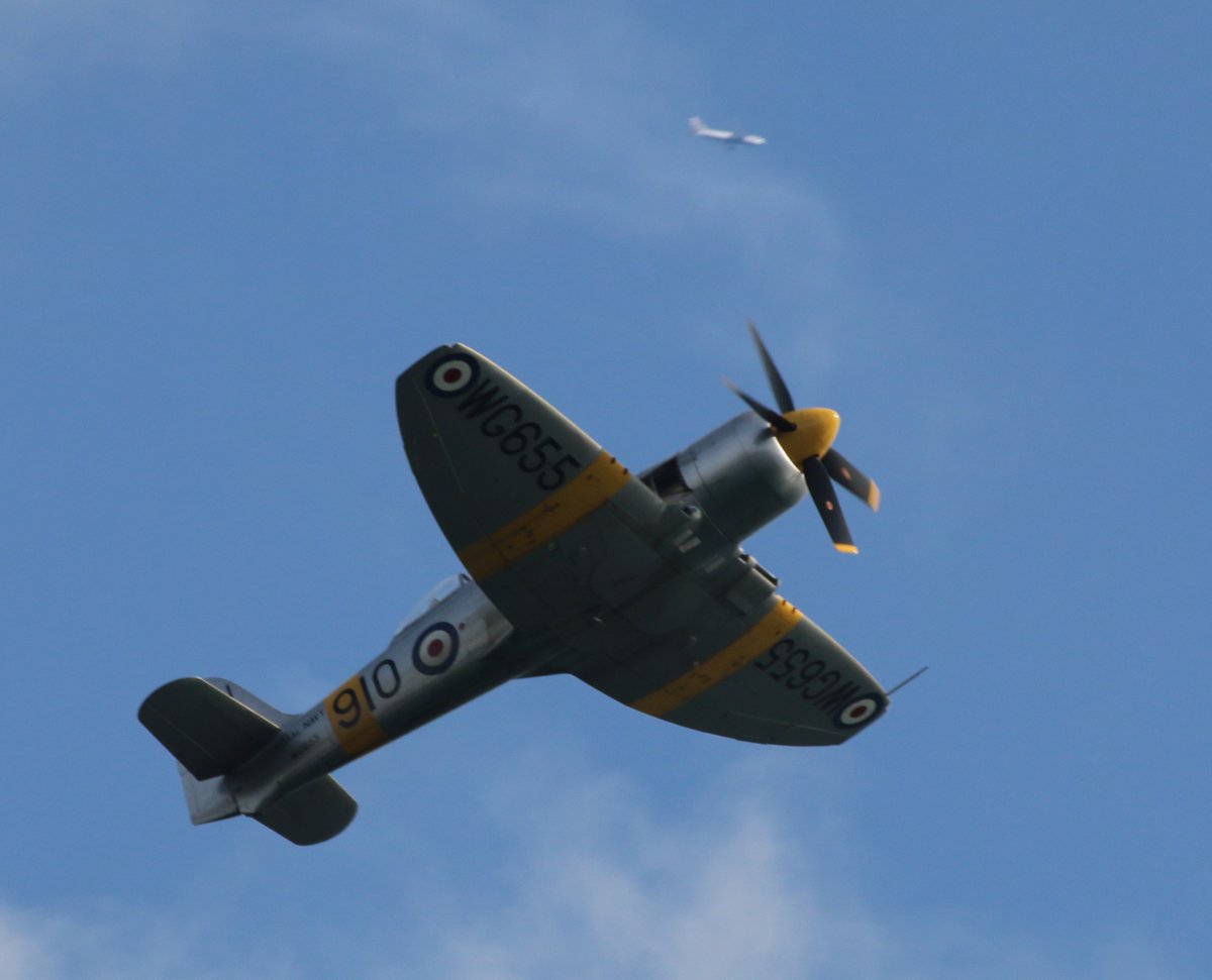 MT111tmd123's tweet image. #WW2 era fighter planes built by the British #Hawker company.
#Hurricane #Tempest #Typhoon #SeaFury