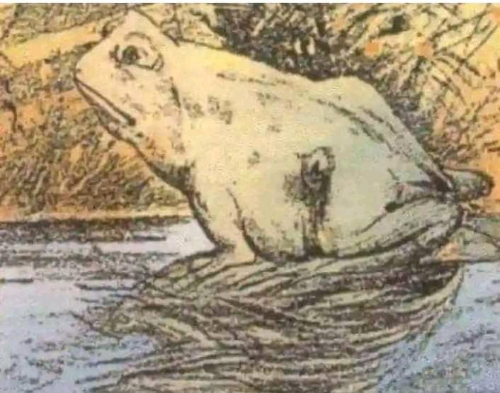 How many animals you see in this picture?
#deprem #GucciAncora #SMTOWNJAKARTA2023 #JapaneseGP #LoveIsBlindS5 #TECNOPHANTOMVFlip #ทไว้2023 #AccraFloods
