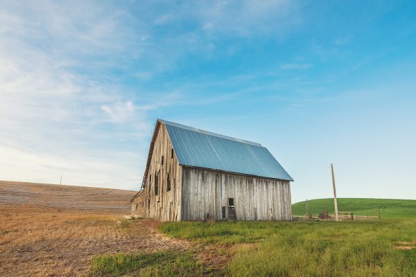 VELDarchitect's tweet image. Are you dreaming of adding a BARN to your property ? Let us show you how you can adopt a barn in Ontario! 
#timberframe  #barnconversion  #barnconversions #ruralontario #veldarchitect 
zurl.co/RKAD