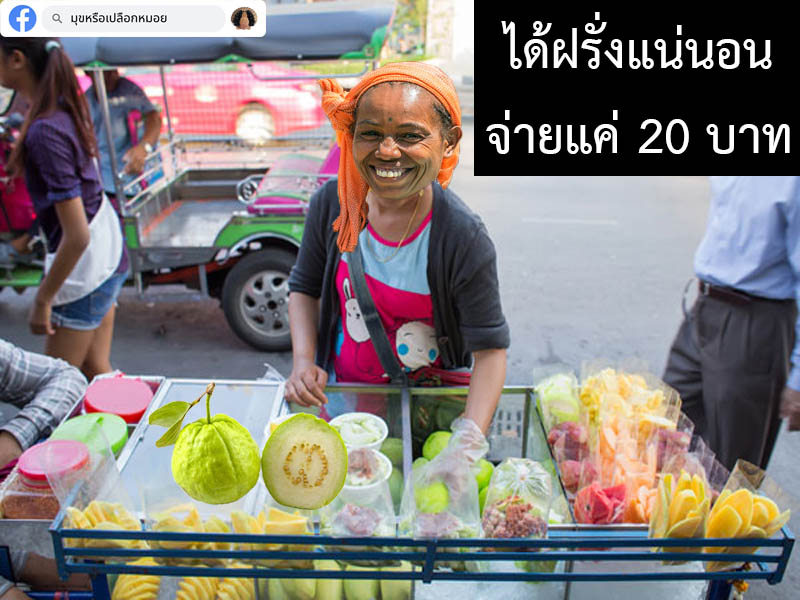 มุขหรือเปลือกหมอย tweet media