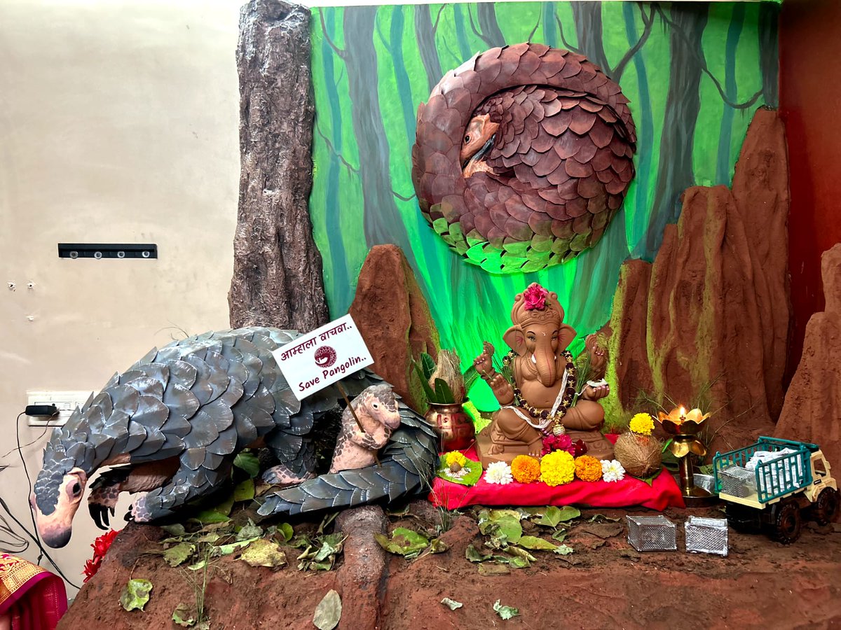 gauravsarjerao's tweet photo. यंदा आमच्या घरगुती गणेशोत्सवाच्या माध्यमातून "खवले मांजर" या नामशेष होऊ लागलेल्या प्रजाती बद्दल जनजागृती करणारा देखावा साकारला आहे.
निसर्गातील कुठल्याही घटकाला समूळ नष्ट करण्याचे परिणाम मानव जातीला नेहमीच भोगावे लागलेले आहेत!निसर्गापुढे माणूस किंवा धर्म मोठा नाही!
#savepangolin https://t.co/Fr8NGTbssQ