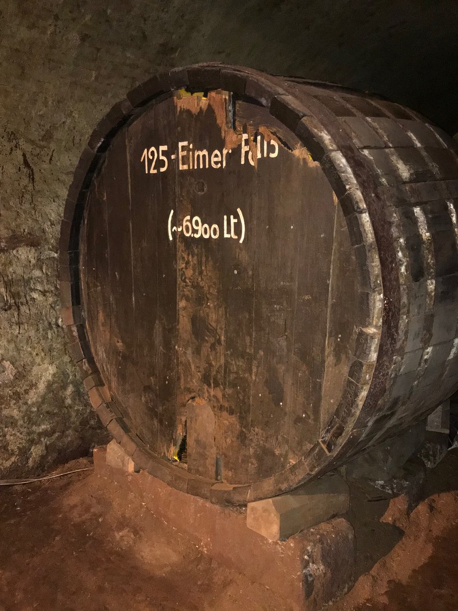 the_PS_lab's tweet photo. "Sipping our way to scientific insights at the SFB retreat in Retz🍷🔬 Exploring the wine cellar for a taste of local culture and camaraderie. Who says science can't be a little grape? 🍇😄 #SFBRetreat #WineScience #ClinkAndThink" https://t.co/rrVqsJaGlC