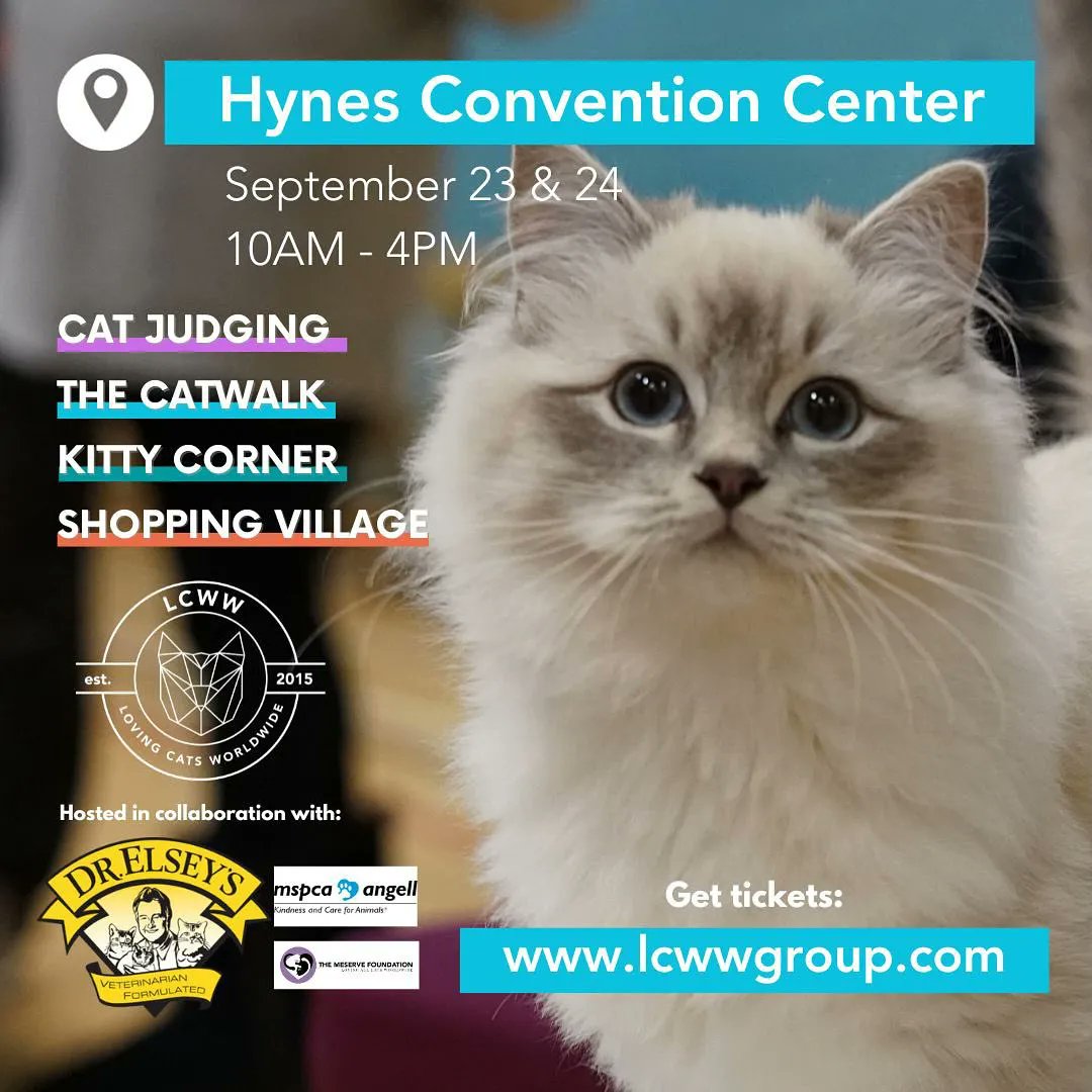 Calling all Boston Cat Lovers! 😸 Join us this Saturday and Sunday at the Hynes Convention Center from 10am - 4pm. Discounts for Families, children, students, and seniors automatically applied at checkout. See you there! 🐈💕 buff.ly/47UceRQ #bostonma #catshow #cats