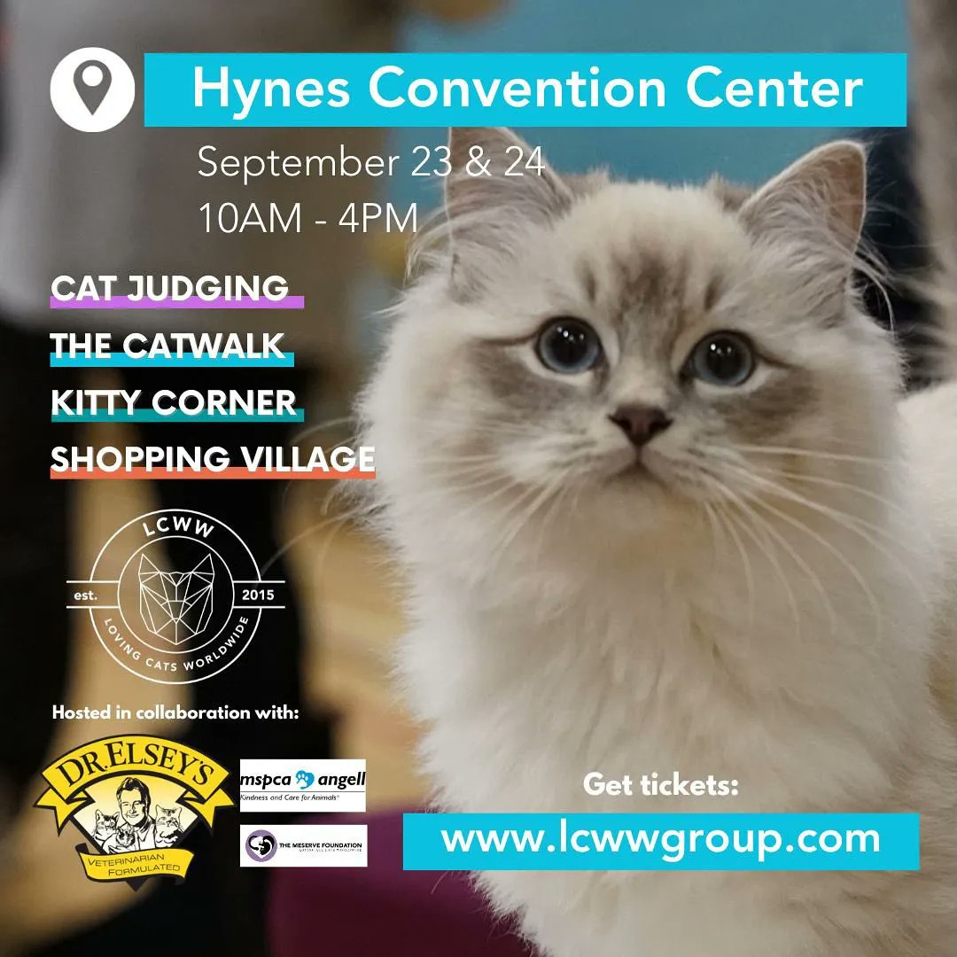 LCWWGroup's tweet image. Calling all Boston Cat Lovers! 😸 
Join us this Saturday and Sunday at the Hynes Convention Center from 10am - 4pm. Discounts for Families, children, students, and seniors automatically applied at checkout. See you there! 🐈💕 

buff.ly/47UceRQ 

#bostonma #catshow #cats