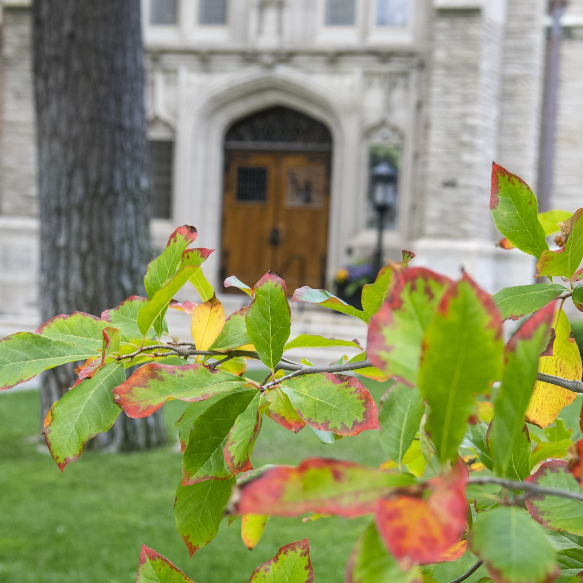 Harvard University tweet media