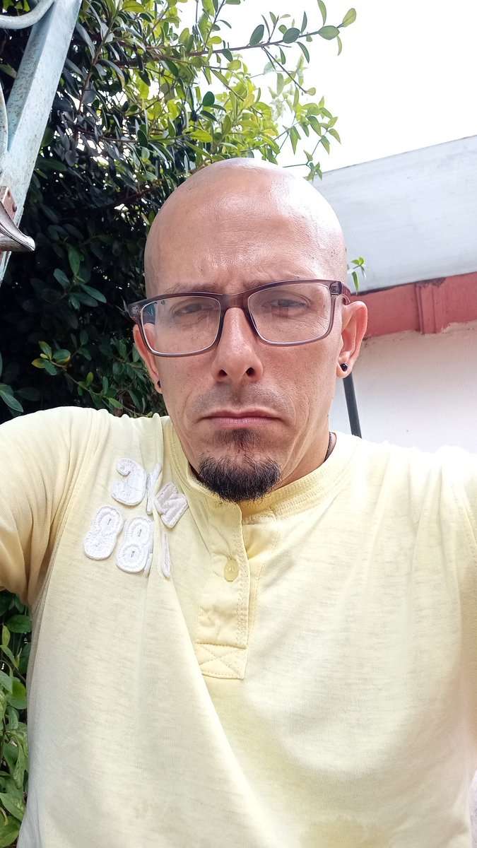 Como el Oso... Goloso 😅