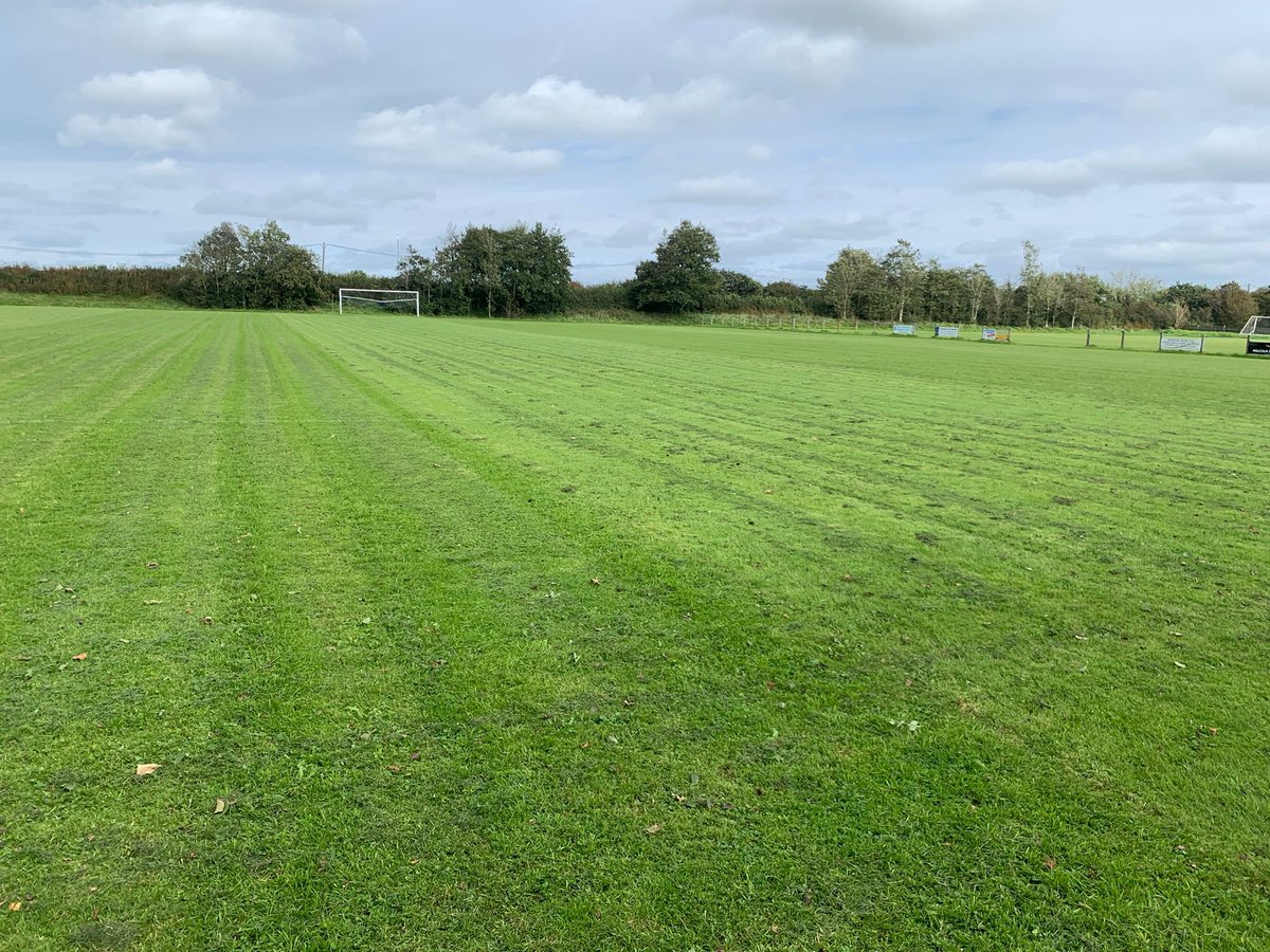 Mark Carter tweet media