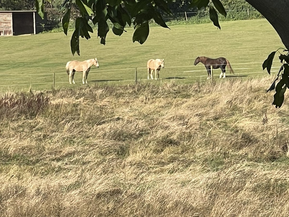 The Ethical Property People tweet media