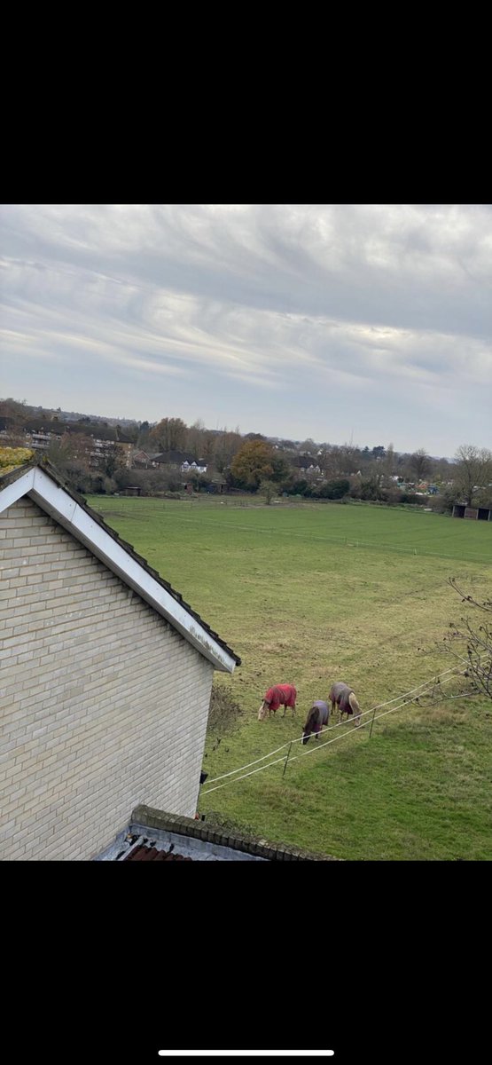 The Ethical Property People tweet media