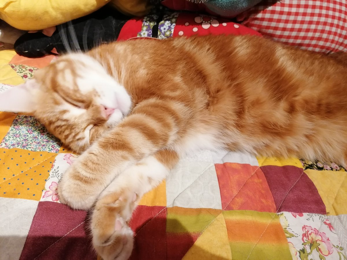 Kirielisi's tweet image. Mañana a las 18:00 estare en stream jugando cosas para recaudar fondos para la operacion de Balu