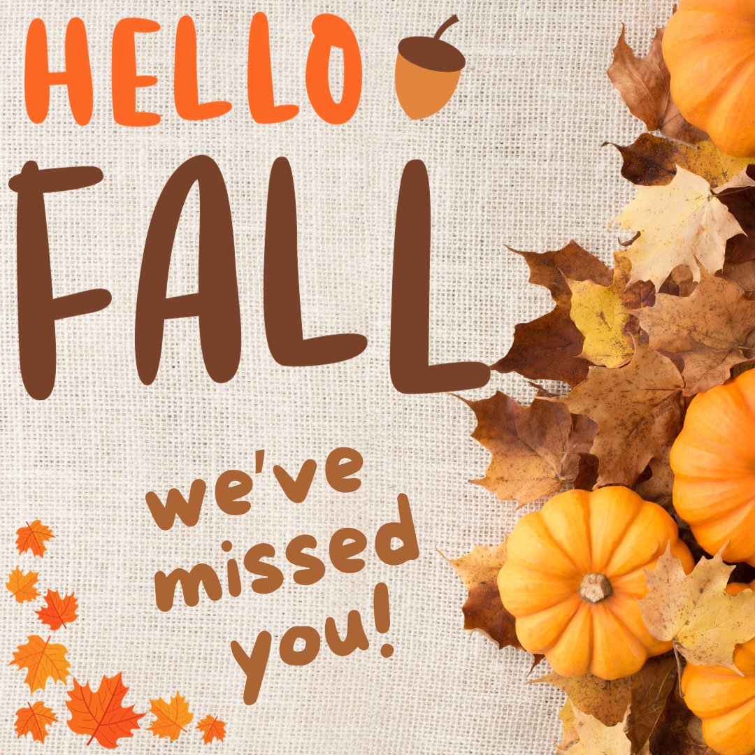 933 The Fish tweet media