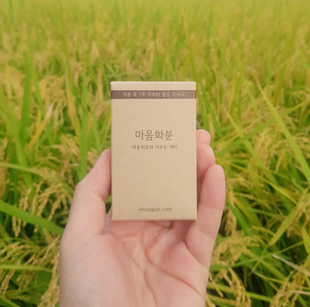 emotipot's tweet photo. 벼가 노랗게 익는 계절🌾🌾🌾
10월 20일부터 종이박스로 변경됩니다🥰🤩🎁

#마음화분 #종이박스 #가을 https://t.co/1ZEYJDxHNb