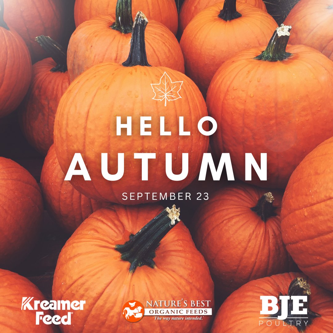 Happy Fall Y'all!
