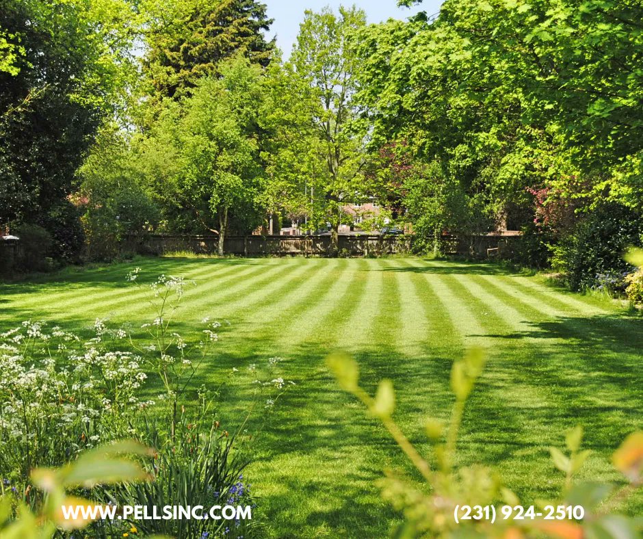 Pells_Inc's tweet image. 🌱 Master the Art of Lawn Care with Pell&apos;s! Discover the efficiency of Cub Cadet Lawn Mowers and the accuracy of Echo Weed Whips. Head to our website to explore these game-changing tools and redefine your lawn care routine. #LawnCareMasters #EfficientTools