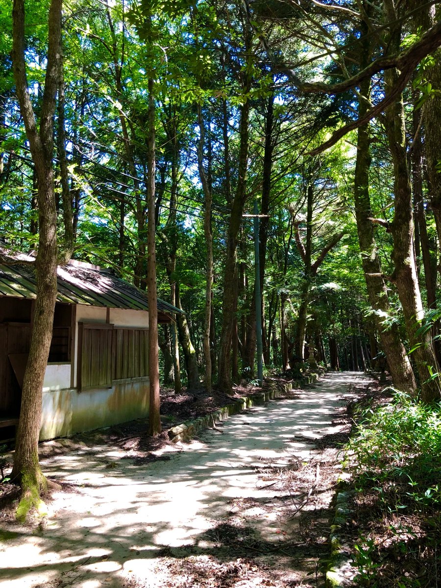 WiigrowOnline's tweet photo. 天気がいいので登山へ
山頂ビール最高!
金剛登山回数表も3枚目に突入
次に登るときにはもっと秋を感じることができるかな?
#金剛山頂広場  #金剛山好き #金剛山頂 #金剛山ライブカメラ #��剛山ビール #金剛山ビール最高 #金剛登山  #登山 #登山好き #登山トレーニング #登山ビール #山頂ビール https://t.co/X5U7wLd4e7