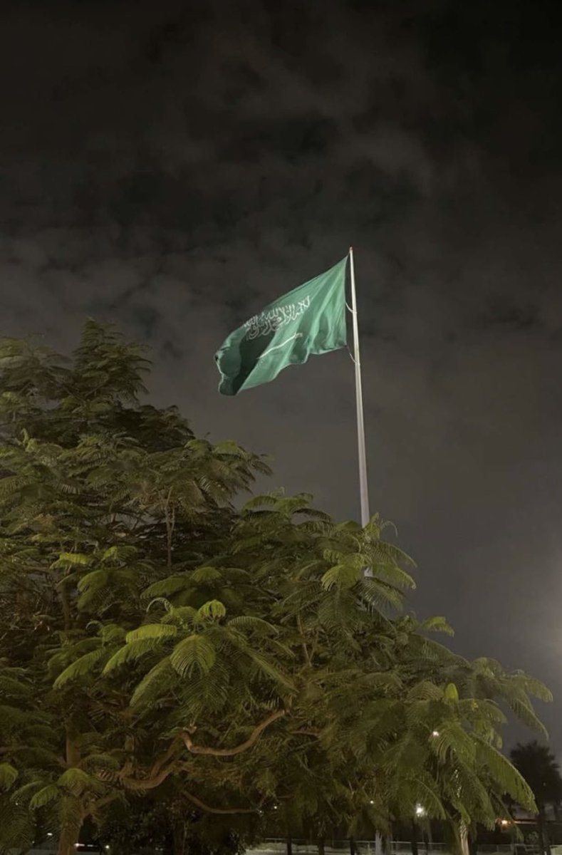 CvSho0's tweet photo. #اليوم_الوطني_93_السعودي
💚🇸🇦 https://t.co/Uo25S6xcQT