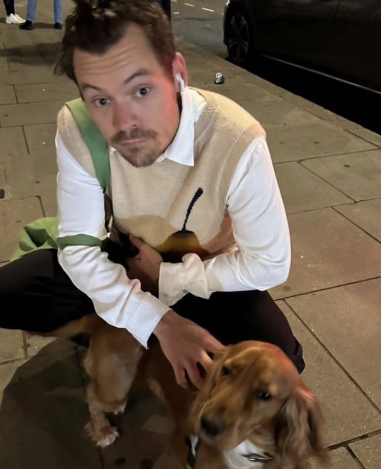 Harry avec un chien récemment.