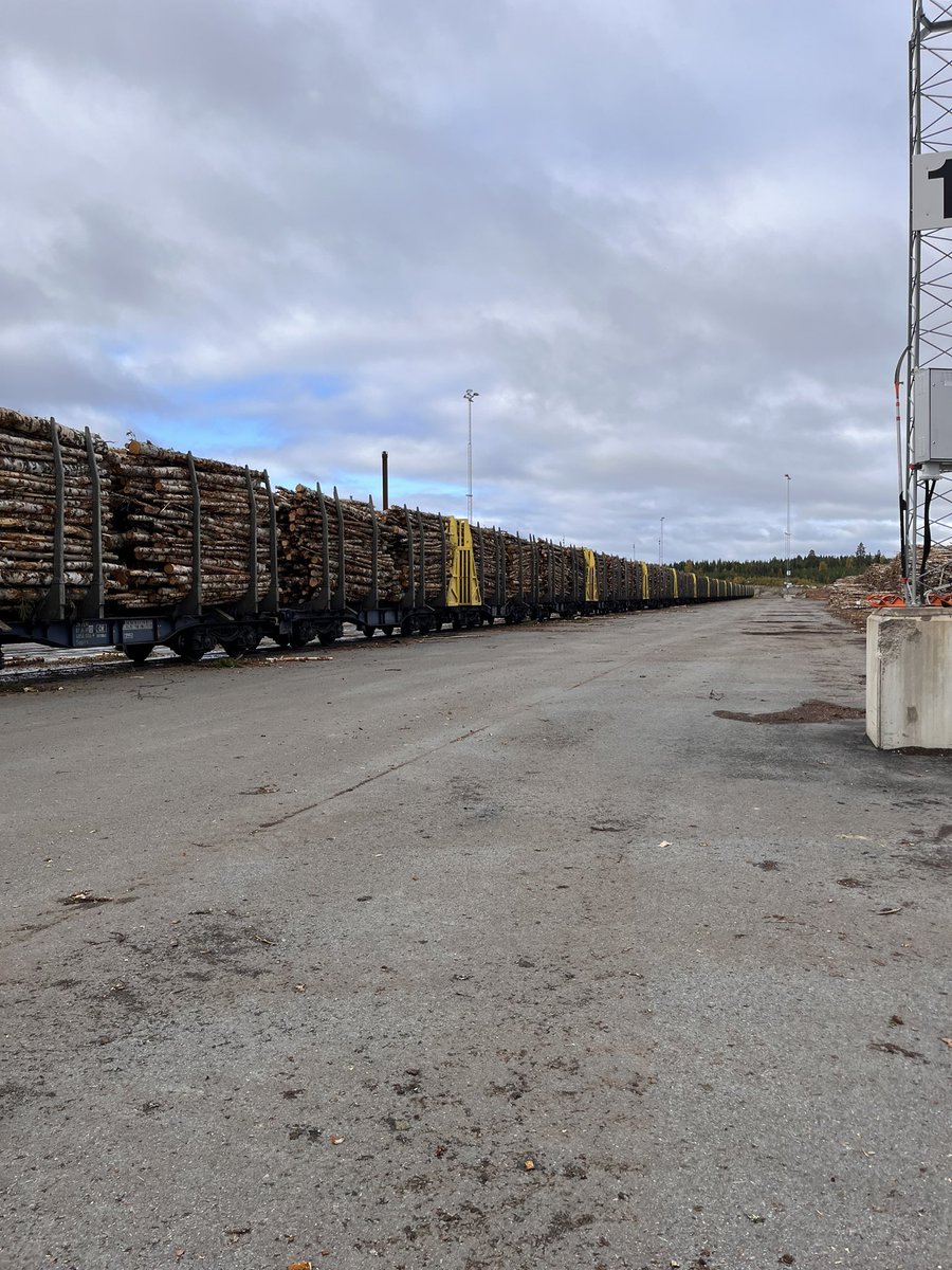 killar älskar verkligen en bra pinne