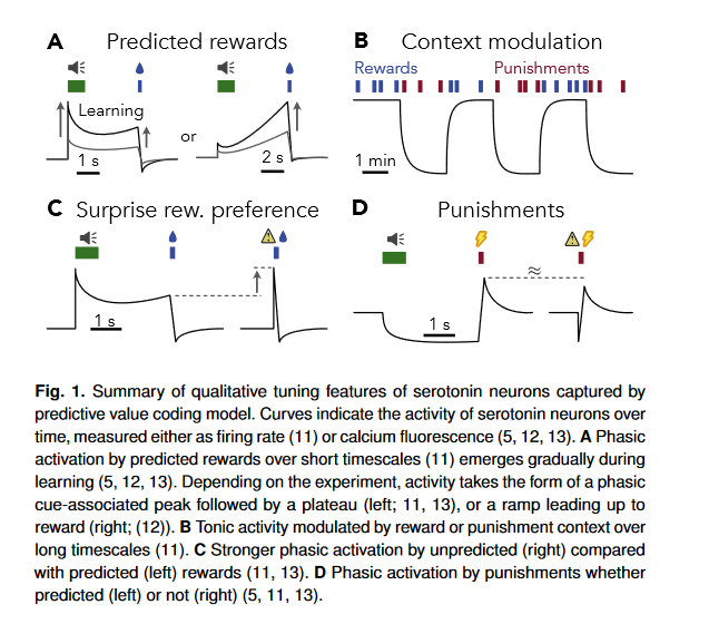 Neuroskeptic 🇺🇦 tweet media
