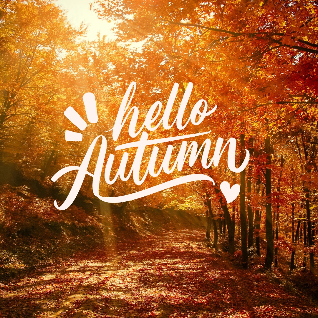 🍁 

#autumn #fall #sinsinawamound