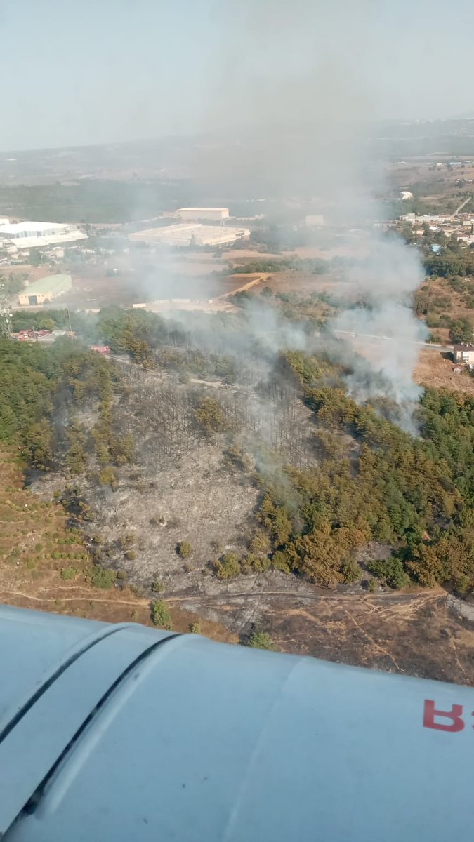 SeddarYavuz's tweet image. #Gebze #Pelitli Mahallesinde çıkan orman yangını karadan ve havadan müdahale sonucu kontrol altına alınmıştır.
Emeği geçen herkese çok teşekkür ederim.
