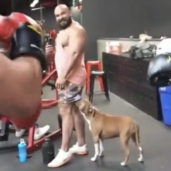 Jack Ward tweet media