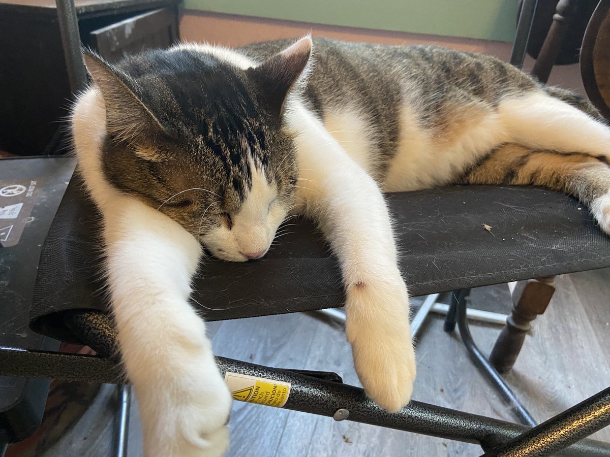 shannonminter5's tweet image. Saturday #doers club