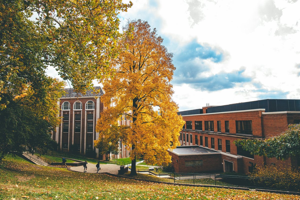 WVUFoundation's tweet photo. It's officially fall today! We can't wait to see campus looking like this soon. 🍁🍂 https://t.co/eWYCfXsUbE