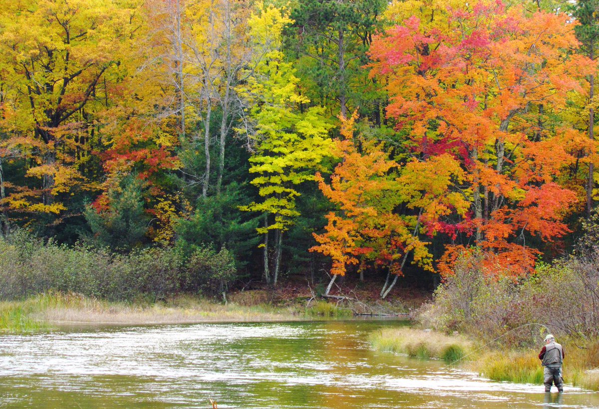 Sleeping Bear Dunes National Lakeshore tweet media