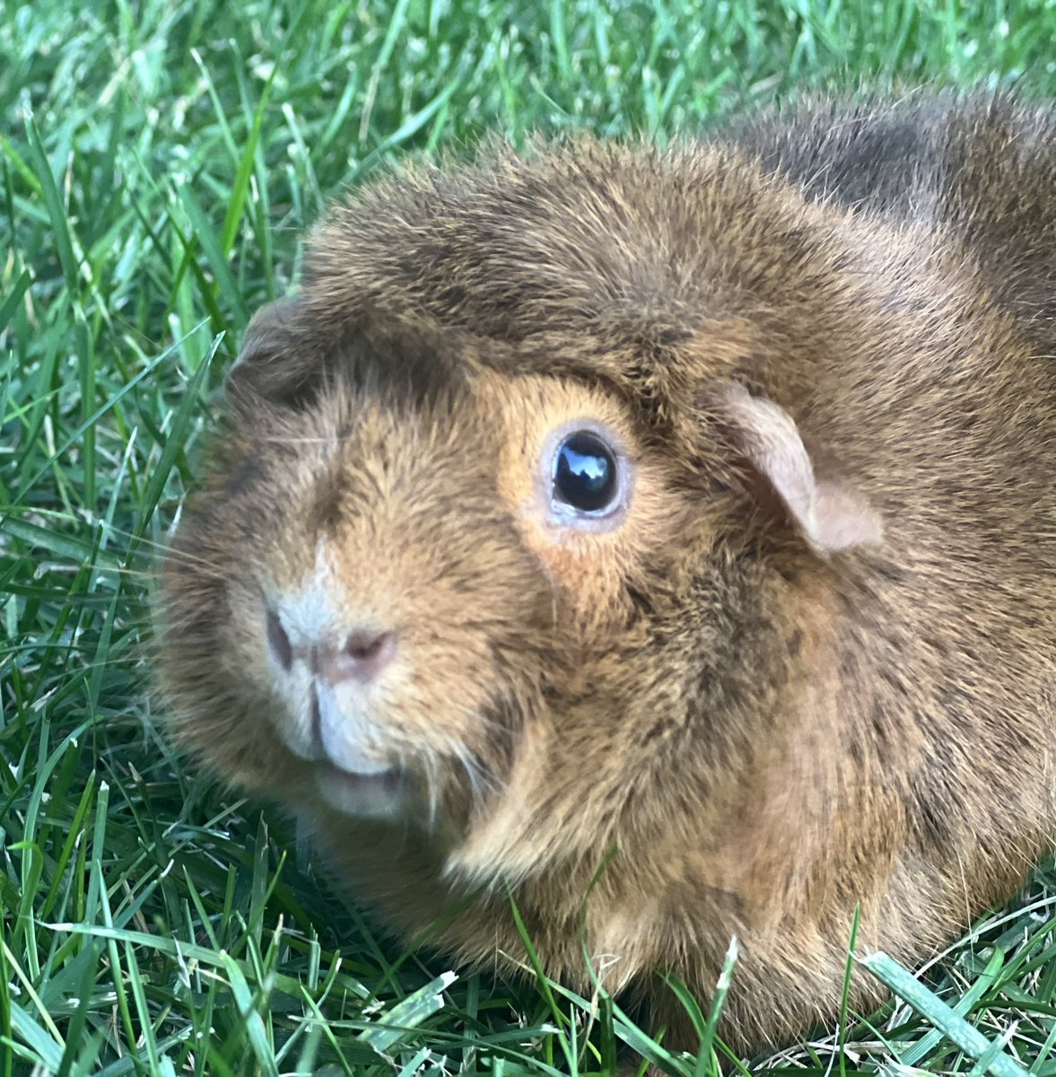 Hanging out with a fellow #vegan. 🫶🏽