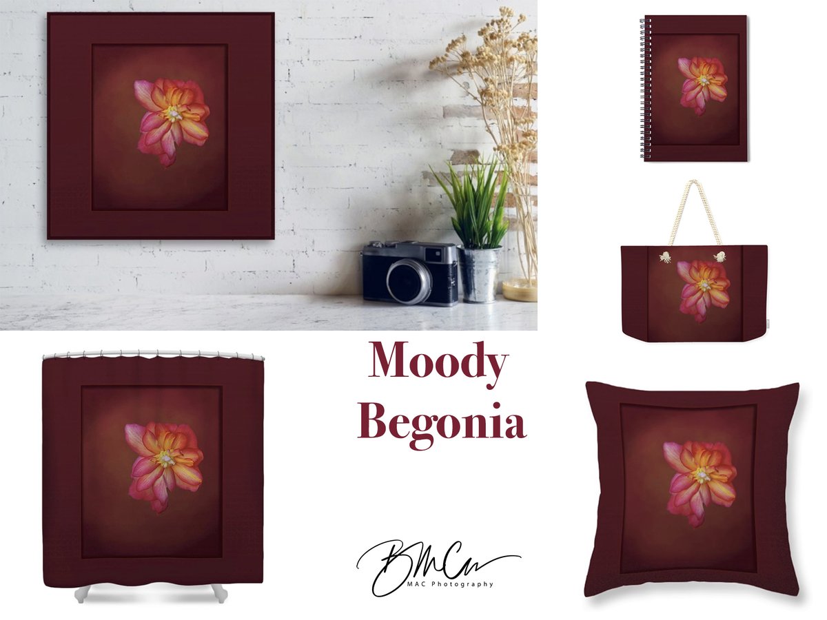 Moody Begonia is available at my FAA storefront. #Flowers #begonia #BuyIntoArt #BuyArtNotCandy #TheArtDistrict #withmytamron #macphotographynj #bobmac27
robert-mccormac.pixels.com