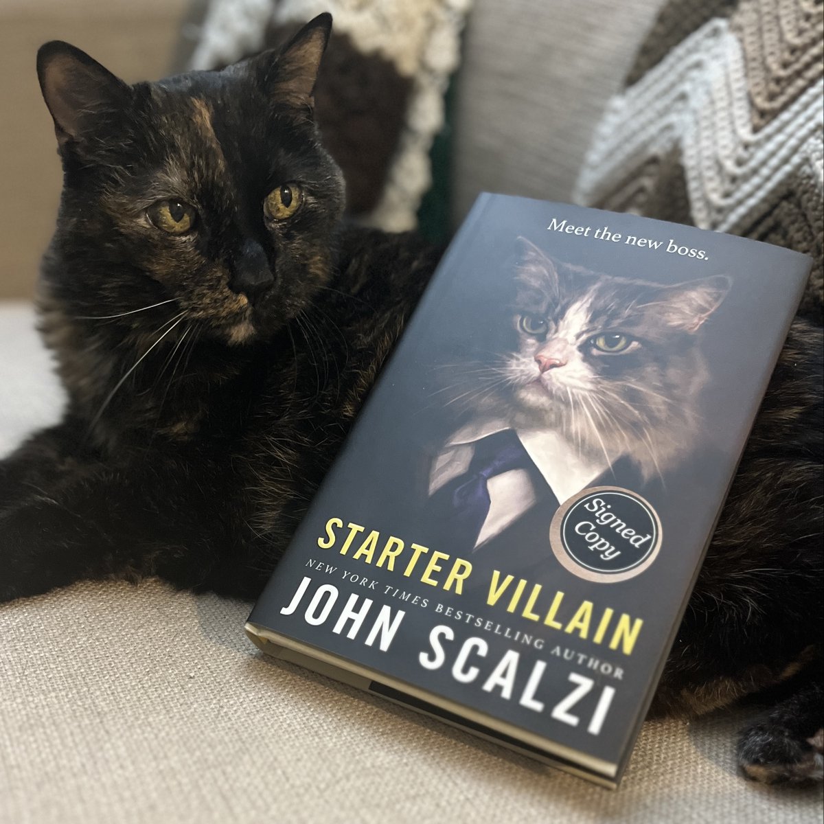 Weekend reading? Peanut, the real boss around here, recommends Starter Villain. Her human read it & found it to be thoroughly delightful. We’ve got signed copies available at both locations & online! P.S. Kudos to the team at @torbooks & @scalzi for this fabulous cover.