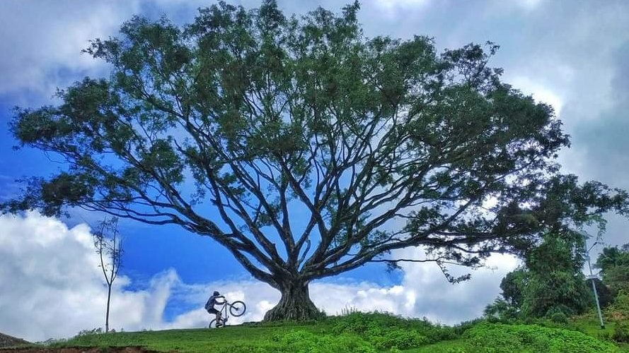 DhakalSaurav's tweet photo. साइकल उत्सव । #Nepal #CycleFestival 
#SaveChure #OneStepGreener #ClimateActionNow
Photo : Tirtha Raj Awasthi https://t.co/WI9MyVhh7W