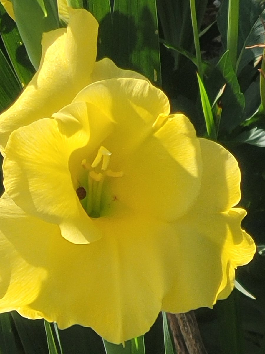 1 liter of finished compost is about 1lb of geologically stable CO2e. 

Making carbon collection and sequestration easily done at home by amazing people like you.