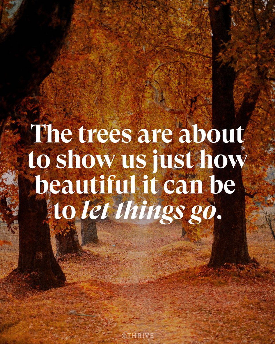 thrive's tweet photo. Happy first day of fall! As the leaves fall to the ground this season, take a moment to think about what you can shed in order to make room for something new. 🍃🍂 https://t.co/l0tg2SbEBL