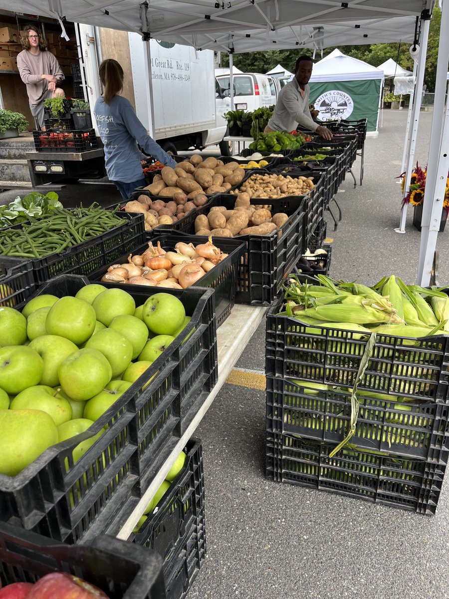 WalFarmMkt's tweet image. Setting up!