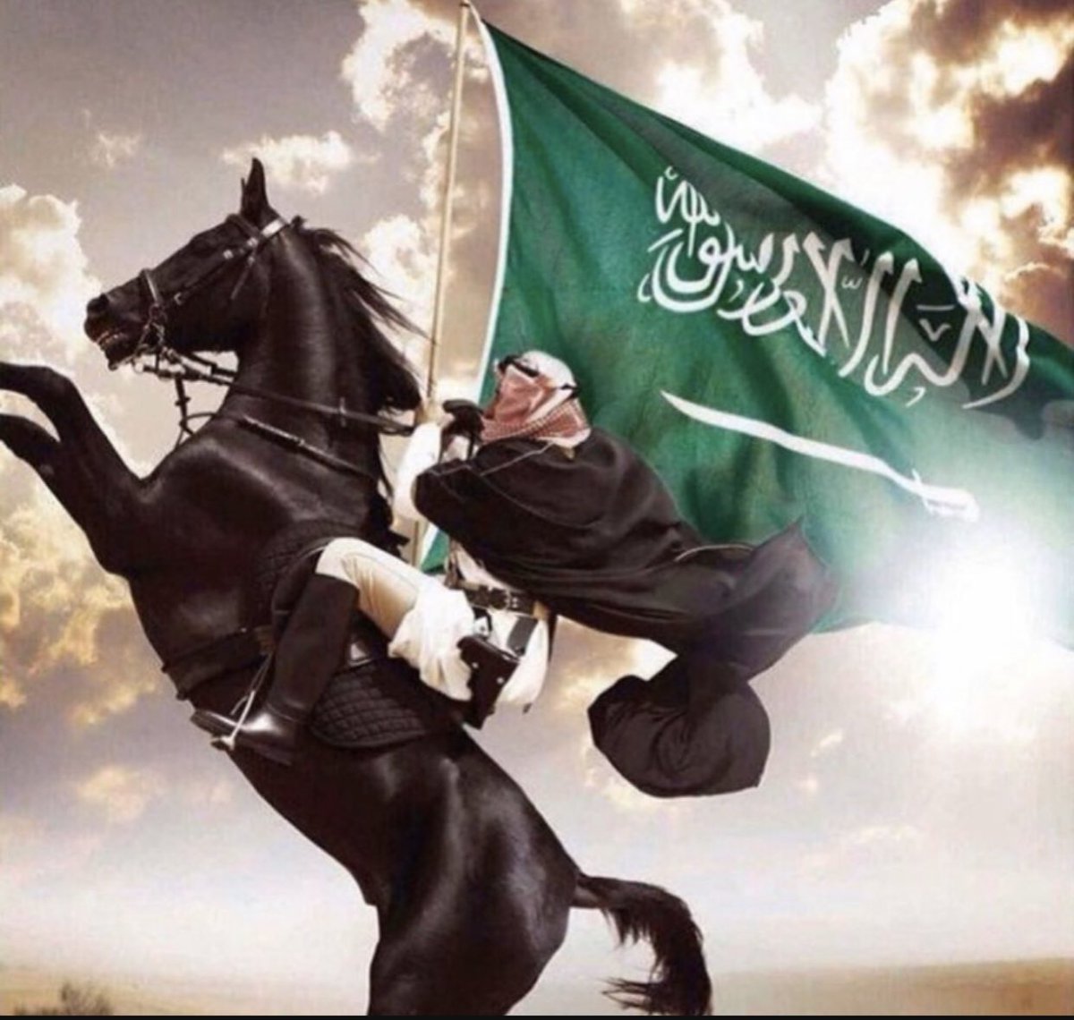 #اليوم_الوطني_93_السعودي