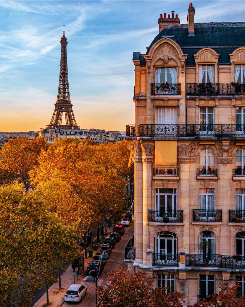 archi_tradition's tweet photo. Autumn in Paris 🍁
📸: gogojungle | IG https://t.co/Af2G2V79TY