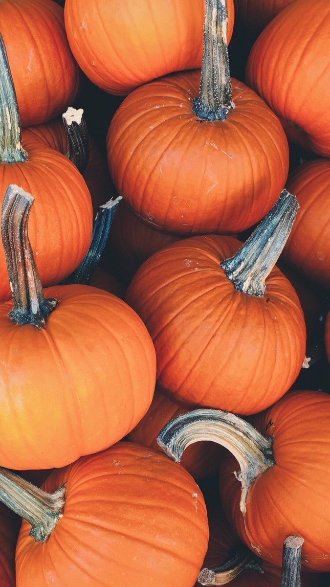 aperfectpumpkin's tweet photo. Happy first day of Fall! https://t.co/BQeQY1McFb