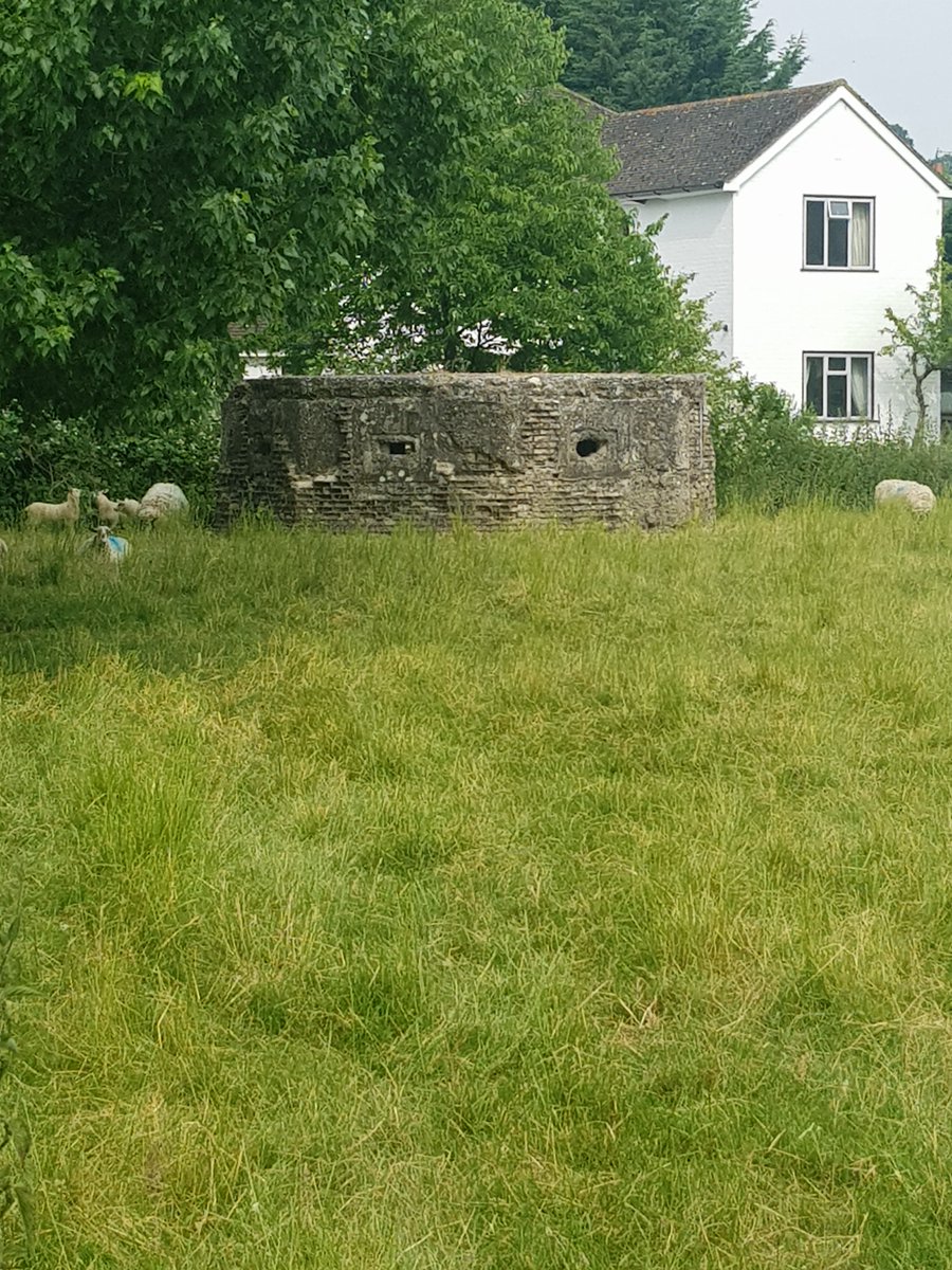 TheHistoryMouse's tweet image. This is only the second wartime defensive structure I've encountered on this whole scamper. Some while back I was wondering if there had been a Wylye Stop during WW2, but couldn't find out #PillBox
(It's staring at me .... face #Pareidolia)